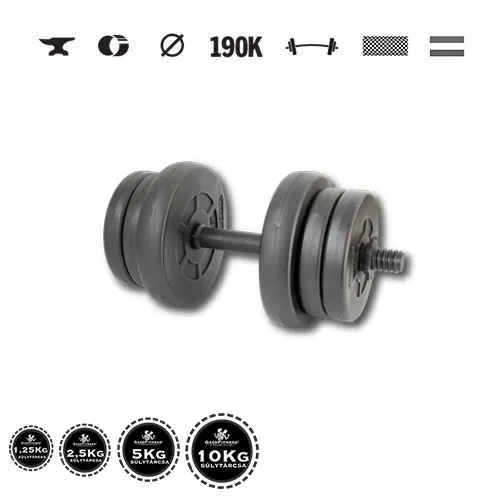 GazoFitness® Ganteră 11,5 kg (1 buc.) cu bară filetată – discuri 2 × 2,5 kg + 4 × 1,25 kg