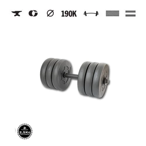 GazoFitness® Ganteră 16,5 kg (1 buc.) cu bară filetată – discuri 6 × 2,5 kg