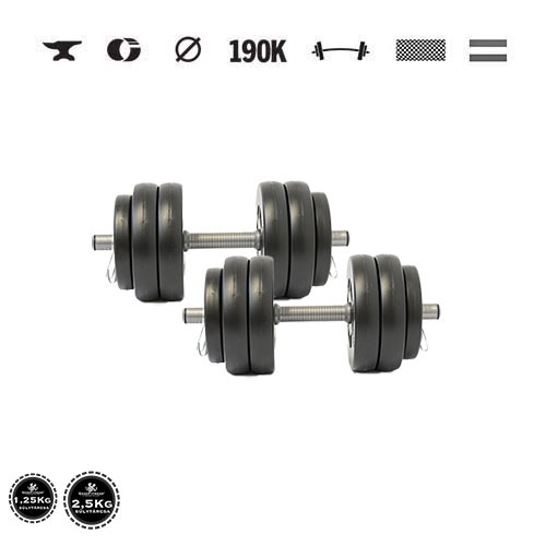 GazoFitness® Gantere 2 × 13,5 kg (total 27 kg) – discuri 8 × 2,5 kg + 4 × 1,25 kg