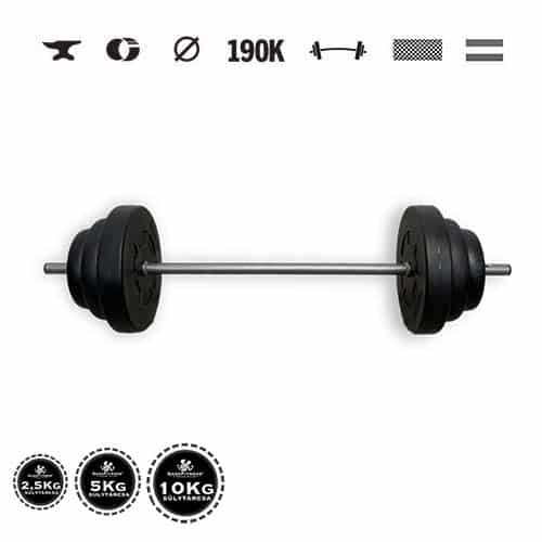 GazoFitness® Halteră 37 kg – discuri 2 × 10 kg + 2 × 5 kg + 2 × 2,5 kg